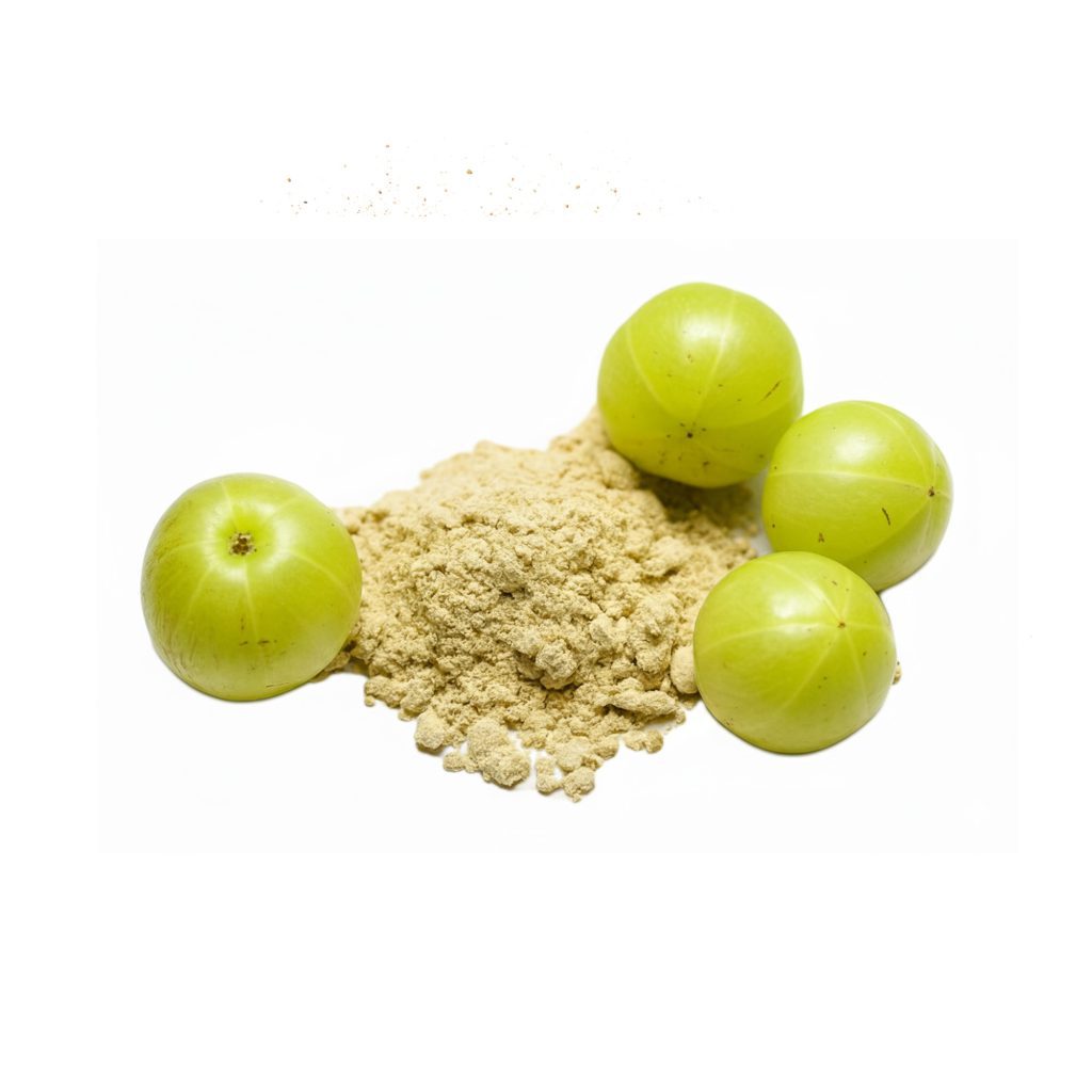 AMLA POWDER