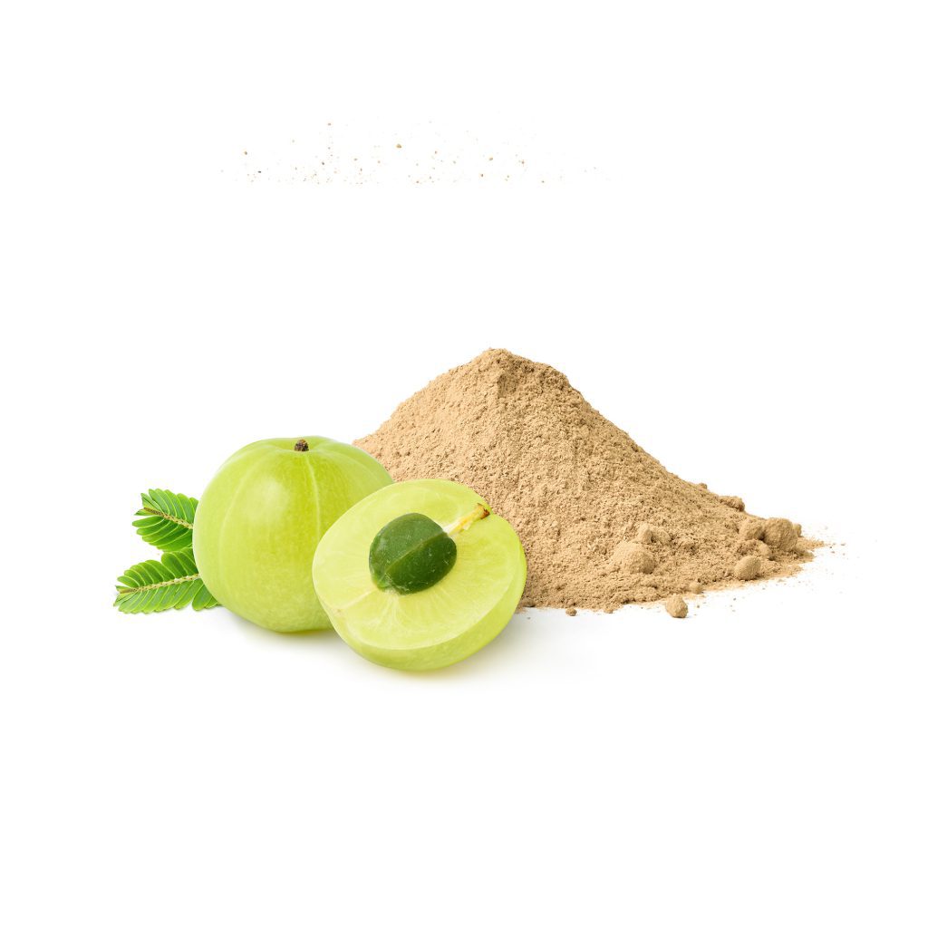 AMLA POWDER