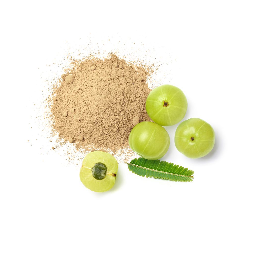 AMLA POWDER