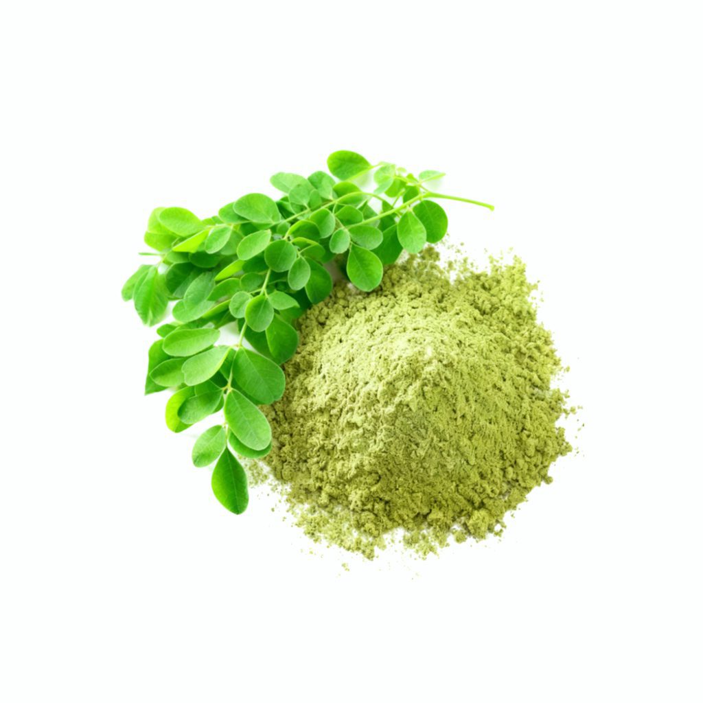 MORINGA LEAVES POWDER