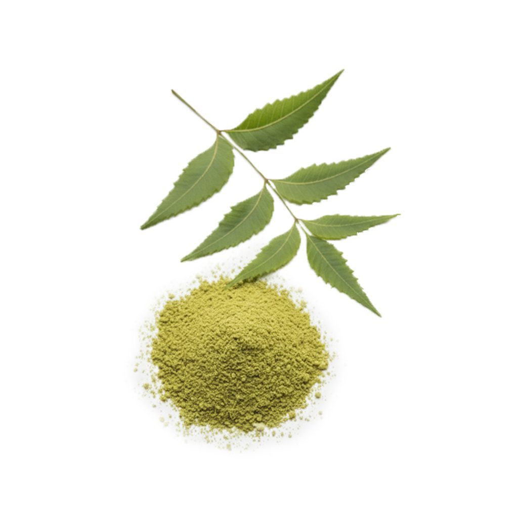 NEEM LEAVES POWDER