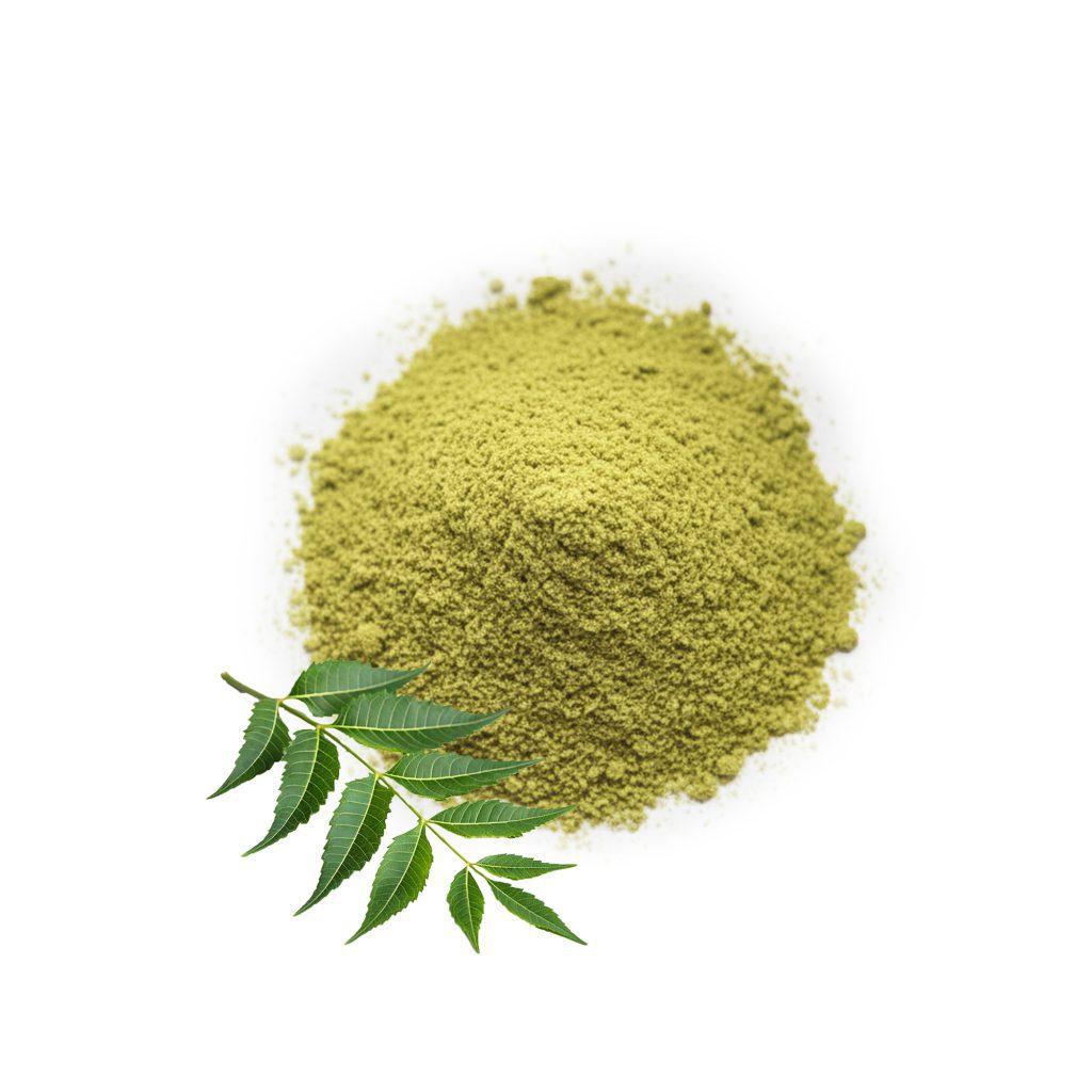 NEEM LEAVES POWDER