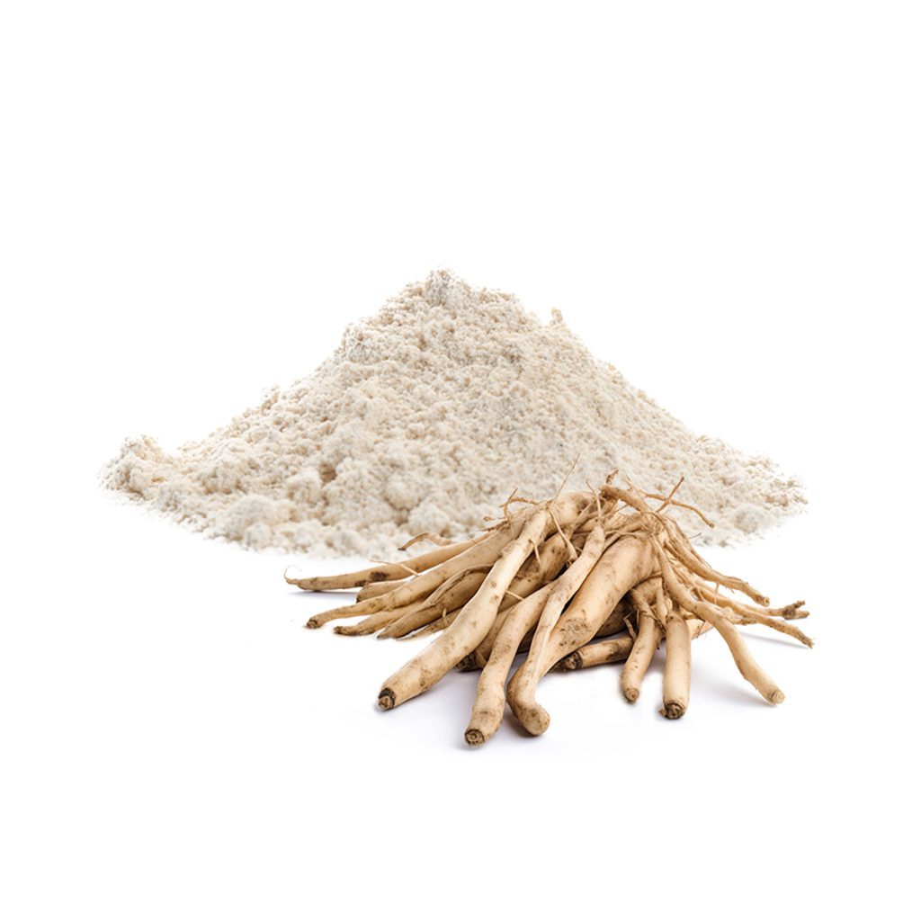SHATAVARI ROOTS POWDER