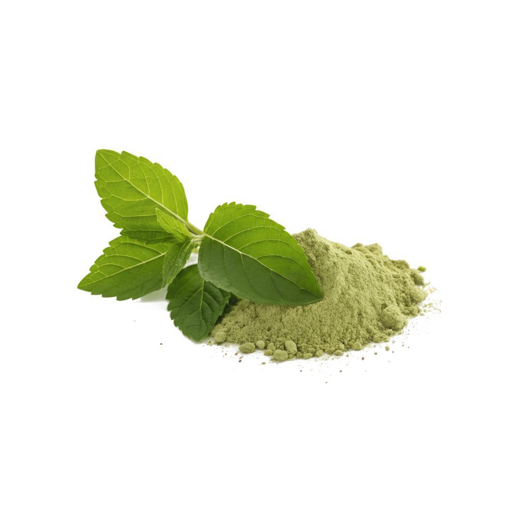 TULSI POWDER